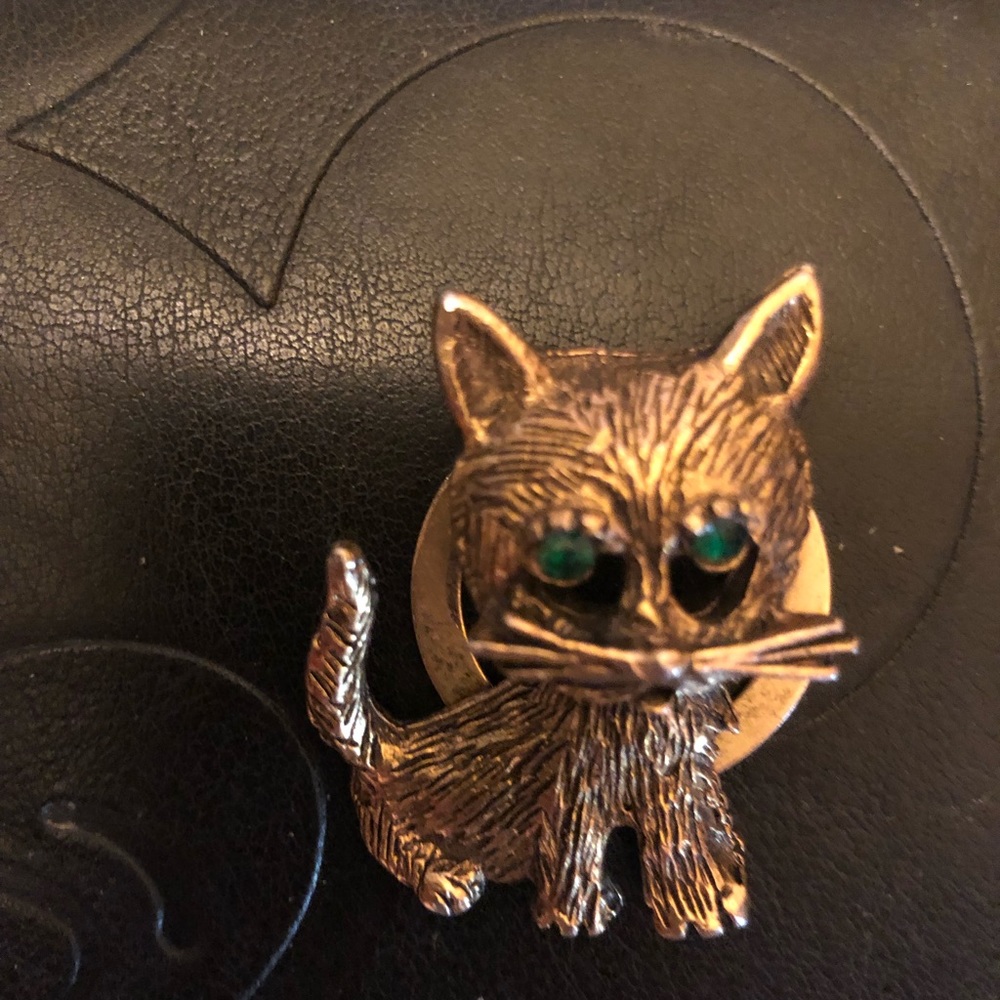 Vintage Cat Pin or Shoe Clip Rhinestone Green Eyes Awesome